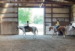 Horse Riding Birthday Parties in Evansville