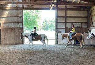 Horse Riding Birthday Parties in Evansville