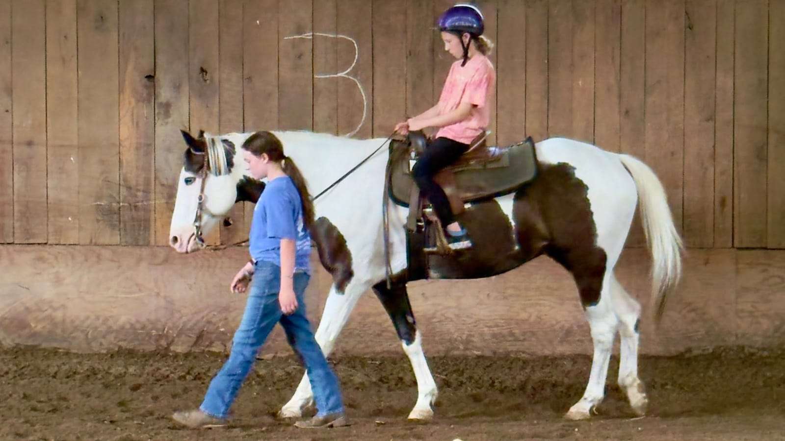 Horseback Riding Lessons