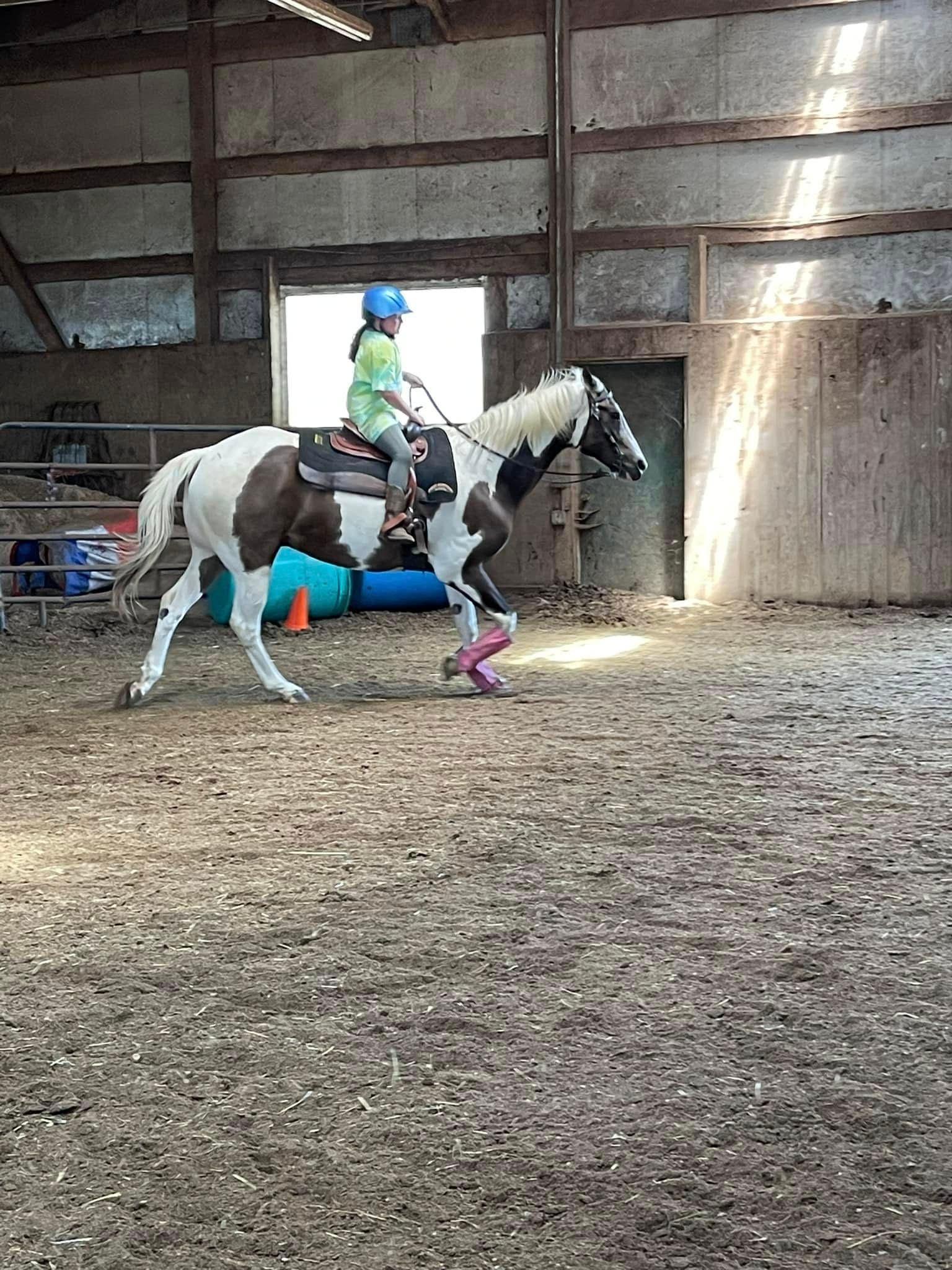 Hosting a Horse Riding Birthday Party