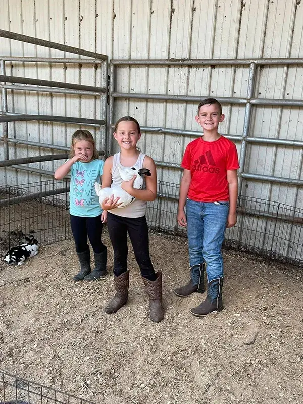 Night Sun Stables has Rabbits!