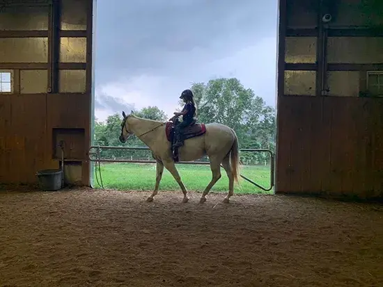 Youth Lessons at Night Sun Stables Horse Training