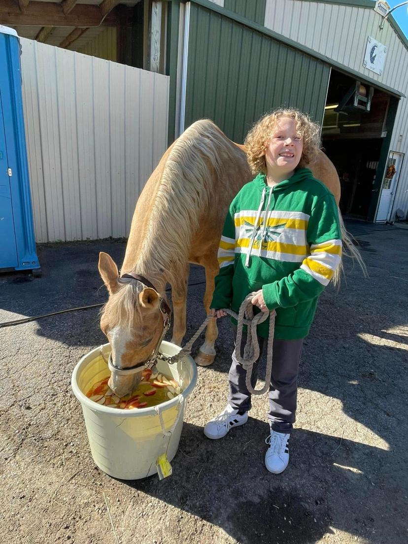 Appropriate care for horses is key