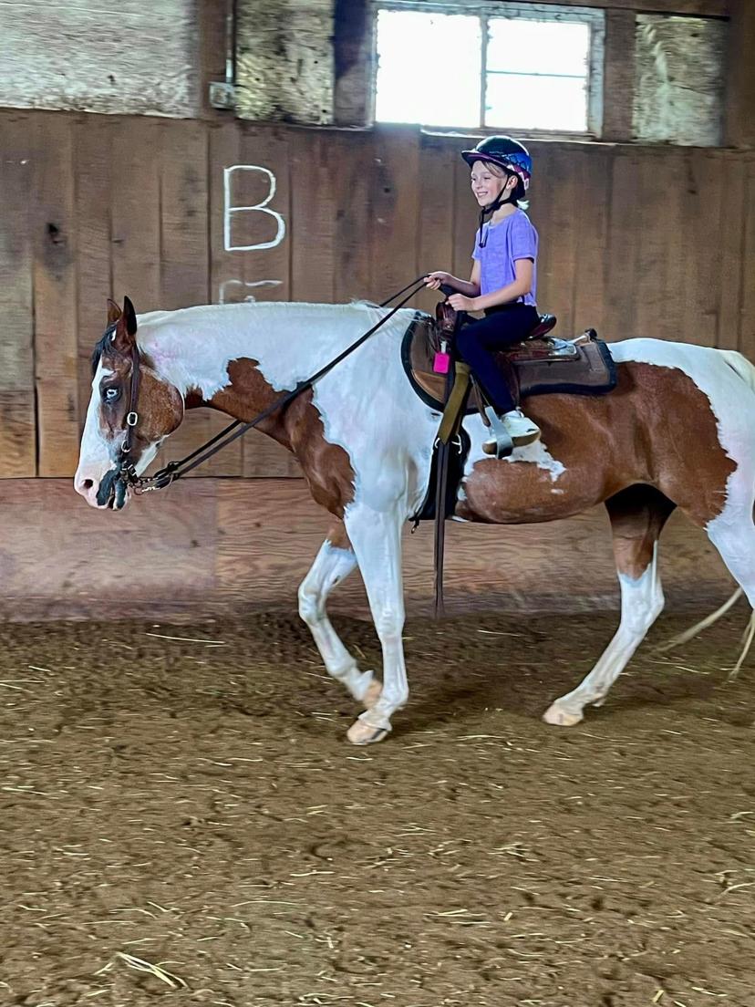 Active horseriding lessons at Night Sun Stables