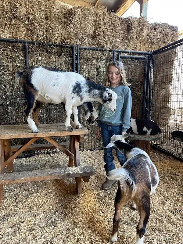 Summer Camp Goat pen